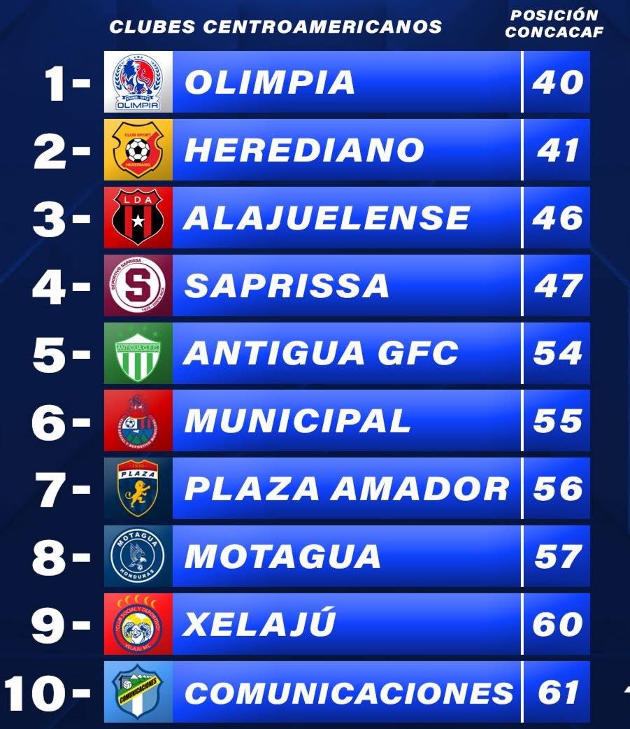 imagen de whatsapp 2025 08 11 a las 17.28.51 3fed5c85